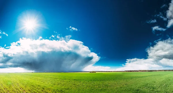 Field Or Meadow Landscape With Green Grass Under Scenic Spring Blue Sky With White Fluffy Clouds And Shining Sun