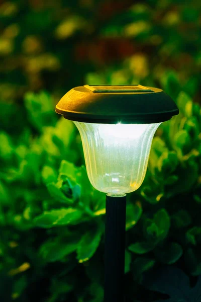 Decorative Small Solar Garden Light, Lanterns In Flower Bed. Solar