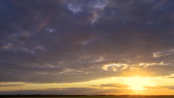 天然日落在田野或草地之上。光彩夺目的天空掠过地面.夕阳西下，风景秀丽的天空下的乡村风景。天空线，地平线。温暖的色彩 — 图库视频影像