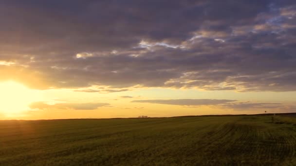 Naturlig solnedgång soluppgång över fält eller äng. Ljus dramatisk himmel över marken. Landskap på landet under vacker färgglad himmel vid solnedgången soluppgång. Skyline och Horizon. Varma färger — Stockvideo