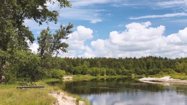 Flod eller sjölandskap med molnig himmel. Lugna ner dig. Skog på andra sidan. Östeuropas natur — Stockvideo