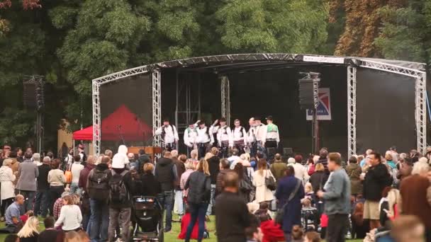 Prag, Çek Cumhuriyeti. Prag Halk Bilimleri Festivali sırasında Ulusal Giysiler Giyen Erkekler Grubu Halk Şarkıları Söylüyor — Stok video