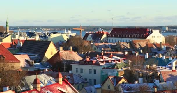 Tallinn, Estonie. Vue panoramique d'une partie du mur de la ville de Tallinn avec tours. Vieux murs de Tallinn. Endroit populaire — Video