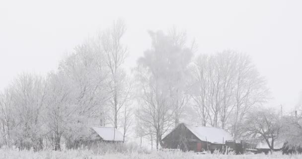 Paisagem com casas de madeira velhas no dia gelado de inverno nevado — Vídeo de Stock