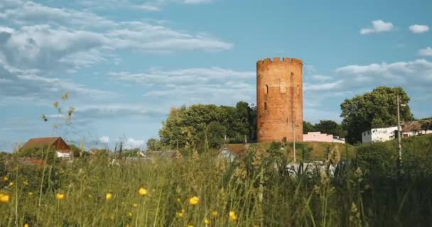 Kamyenyets, περιφέρεια Brest, Λευκορωσία. Πύργος της Kamyenyets σε ηλιόλουστη μέρα του καλοκαιριού με πράσινο γρασίδι σε πρώτο πλάνο — Αρχείο Βίντεο