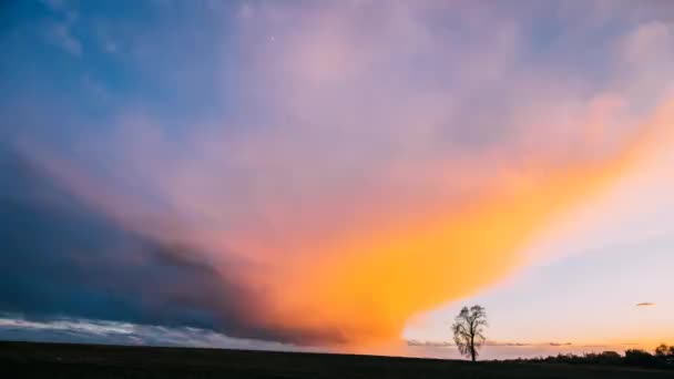 Zeitraffer Zeitraffer Zeitraffer des einsamen Baumes, der im Frühlingsfeld bei Sonnenuntergang wächst. Abendhimmel über dunkler Landschaft Wiesenlandschaft. Frühlingsnatur — Stockvideo