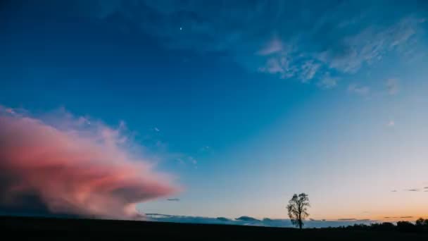 Zeitraffer Zeitraffer Zeitraffer des einsamen Baumes, der im Frühlingsfeld bei Sonnenaufgang wächst. Morgensonnenaufgang Himmel über dunkler Landschaft Wiesenlandschaft. Frühlingsnatur — Stockvideo