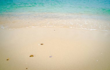 Deniz kabukları ve kum zemin üzerine taş.