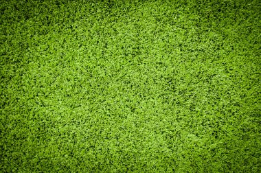 suni çim dokusu, arka plan kopya alanı ile