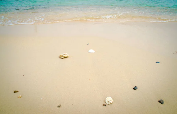 Mar Conchas y piedra sobre fondo de arena . — Foto de Stock