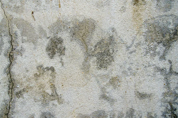 Cement Background Texture. — Stock Photo, Image