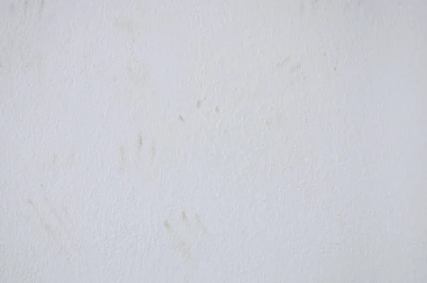 Textura de fondo de cemento blanco y huella de gato — Foto de Stock