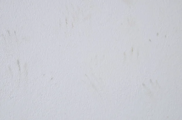 Textura de fondo de cemento blanco y huella de gato — Foto de Stock