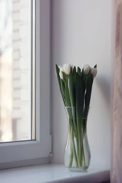 White tulips in a vase on a windowsill — Stock Photo, Image