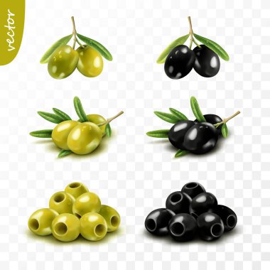 3 boyutlu yeşil ve siyah zeytin yapraklı, çekirdeksiz, gerçekçi vektör seti