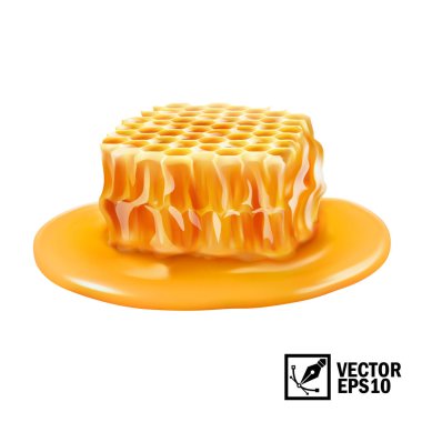 3D gerçekçi vektör bal birikintisinde bal peteği dilimi izole