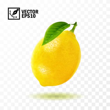 Sapında yaprak olan limon meyvesi, 3 boyutlu gerçekçi izole vektör, düzenlenebilir el yapımı ağ.