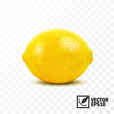 Limon meyvesi, 3 boyutlu gerçekçi izole vektör, düzenlenebilir el yapımı ağ