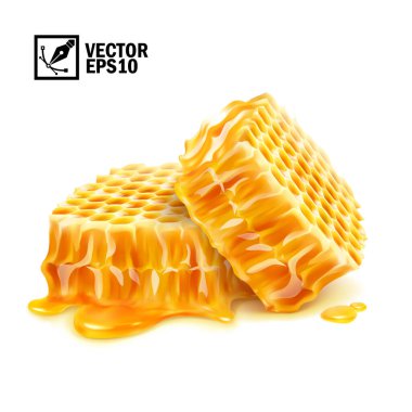 3D gerçekçi vektör bal birikintisinde iki bal peteği dilimini izole etti