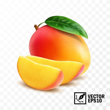 Yapraklı tam ve dilimlenmiş mango meyvesi, 3 boyutlu izole edilmiş gerçekçi vektör, düzenlenebilir el yapımı ağ.