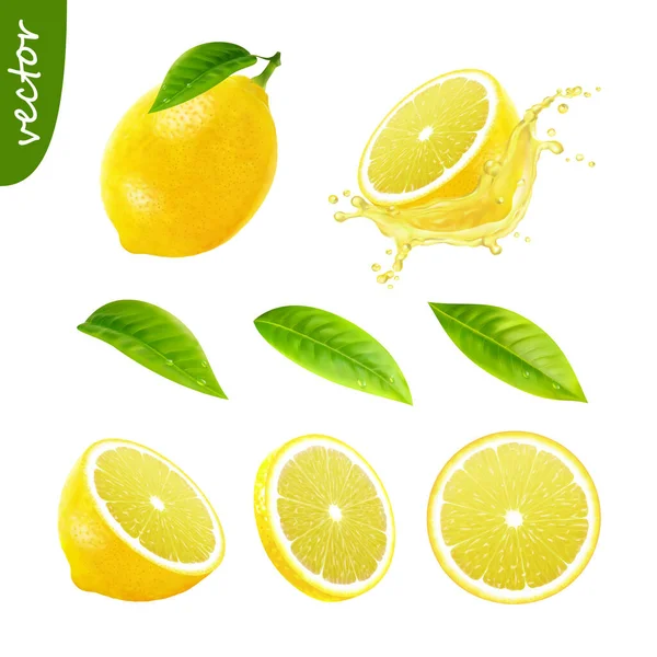 Boyutlu Gerçekçi Elementler Kümesi Yapraklı Limon Dilimlenmiş Limon Limon Suyu — Stok Vektör