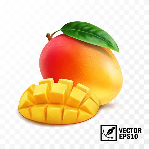 Fruta Mango Entera Piezas Con Hoja Vector Aislado Realista Malla — Archivo Imágenes Vectoriales