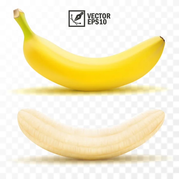 Realistische Geïsoleerde Vector Gepeld Hele Banaan Fruit — Stockvector