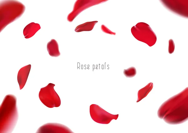 Realistické Izolované Okvětní Lístky Červené Růže Kroužící Víru — Stockový vektor