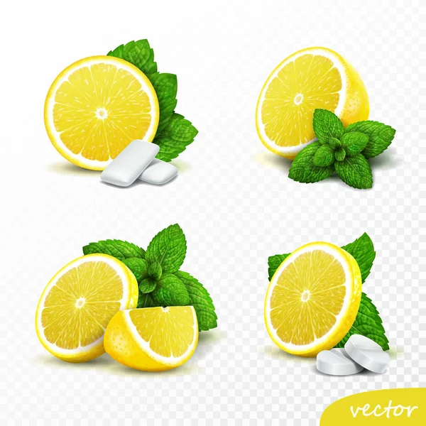 Boyutlu Gerçekçi Vektör Seti Dilimlenmiş Limonlar Taze Nane Yaprakları Yuvarlak — Stok Vektör