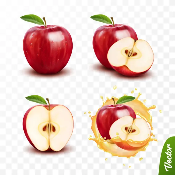 Realistisches Transparentes Isoliertes Vektorset Ganz Und Scheiben Geschnitten Apfel Einem — Stockvektor