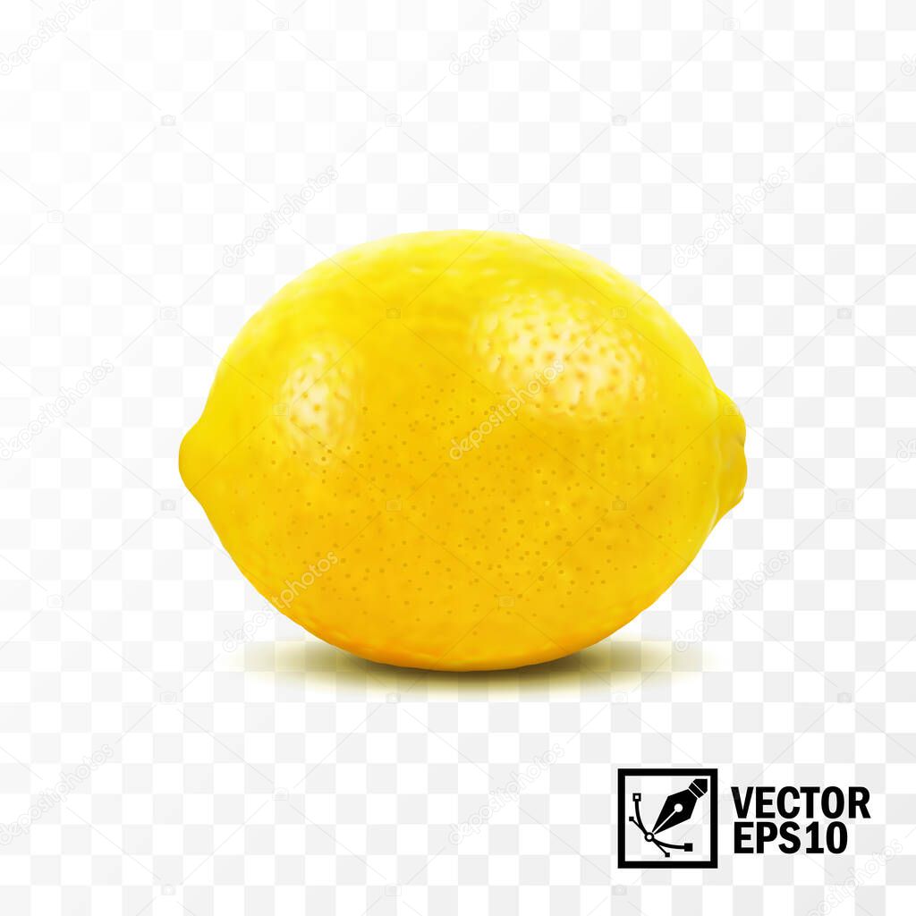 Lemon fruit, 3D realistic isolated vector, editable handmade mesh