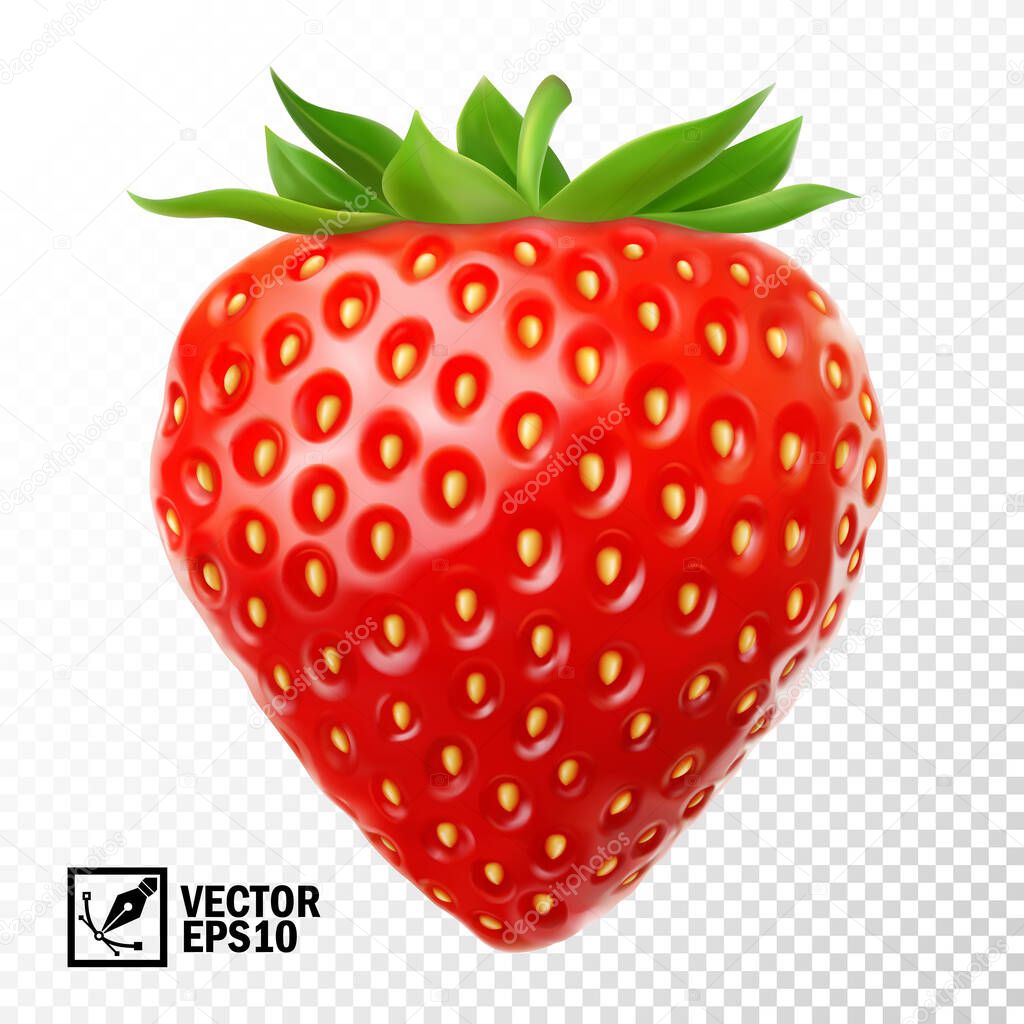 3D realistic isolated vector strawberry, editable handmade mesh