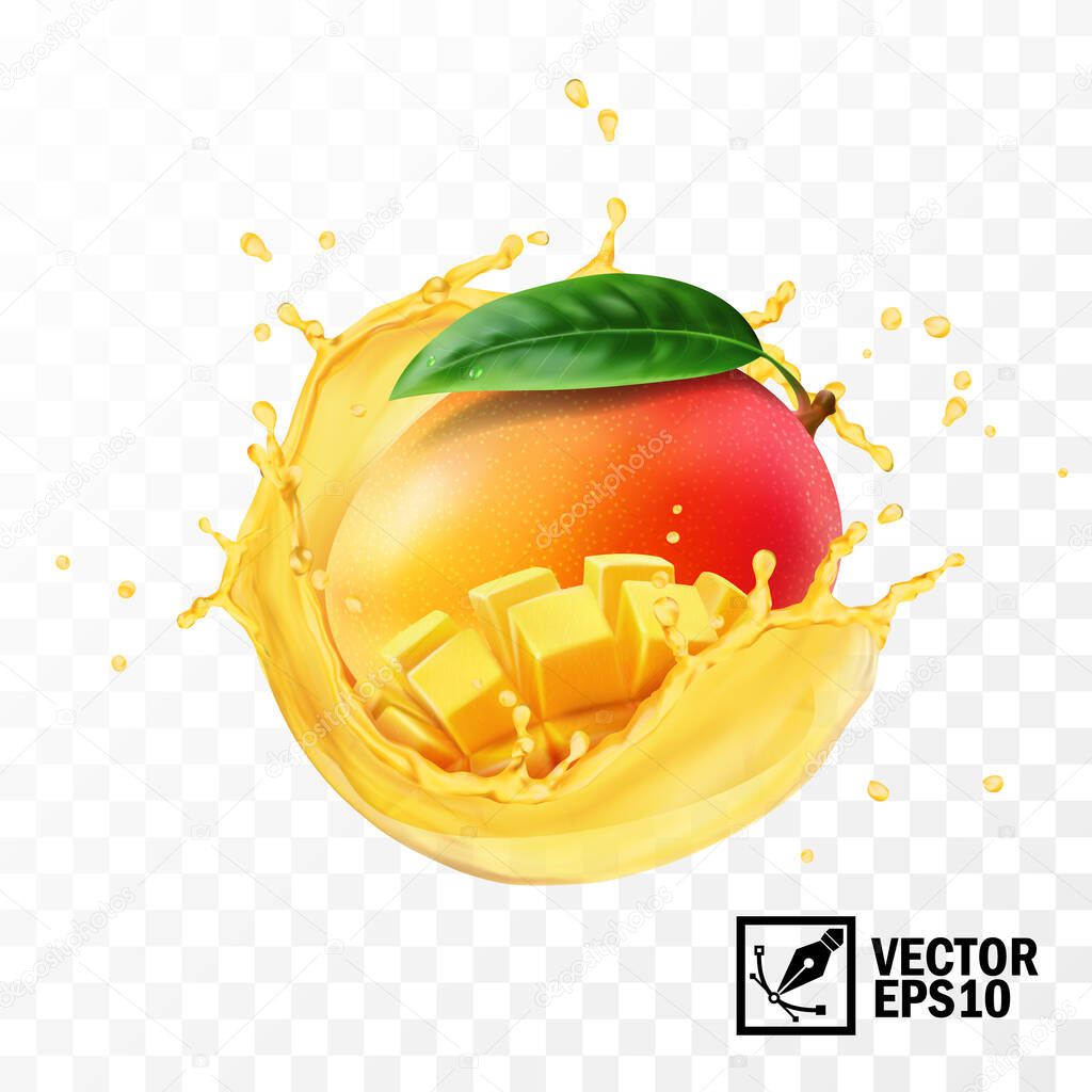 Whole and pieces mango fruit with leaf in a splash of juice with drops, 3D realistic isolated vector, editable handmade mesh