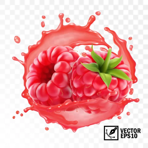 Realistic Transparent Isolated Vector Peeled Raspberry Fruit Splash Juice Drops — Stock Vector