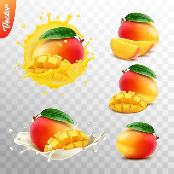 现实透明的分离向量集 完整和切片芒果果果 芒果与水滴在一起 芒果与牛奶或酸奶在一起 — 图库矢量图片