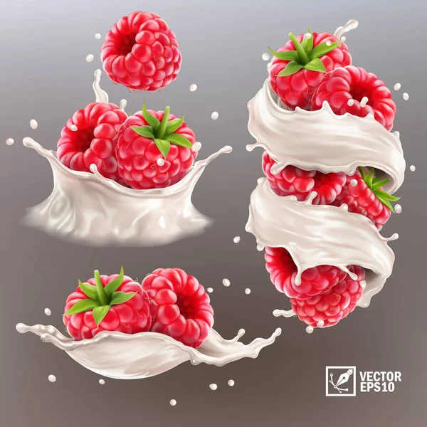 3D realistic vector set of different splashes of milk or yogurt with whole and halved raspberry pieces — Stock Vector