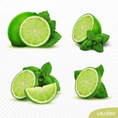 Gerçekçi elementler kümesi kireç, tam kireç dilimlenmiş kireç, limon yağı, yapraklar.