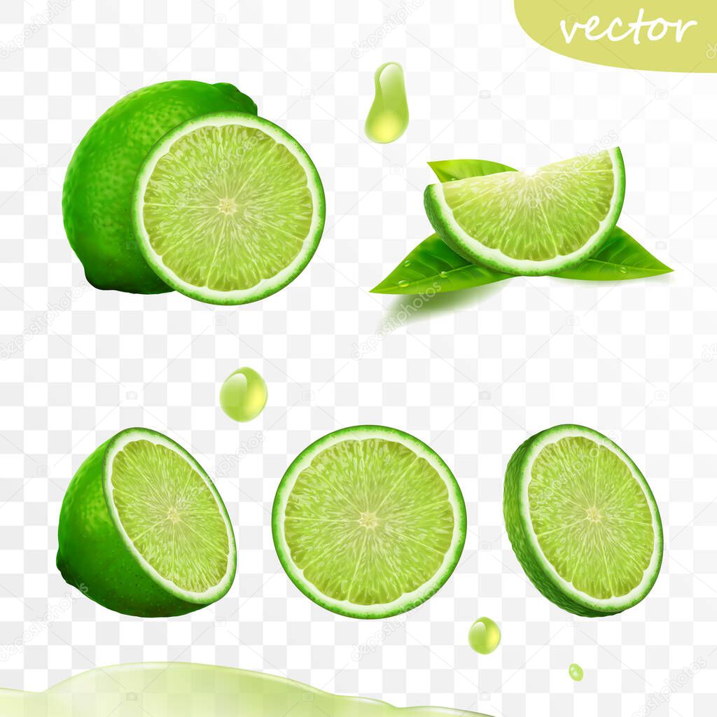 Realistic vector set of elements, whole lime, sliced lime, drop lime oil, leaves