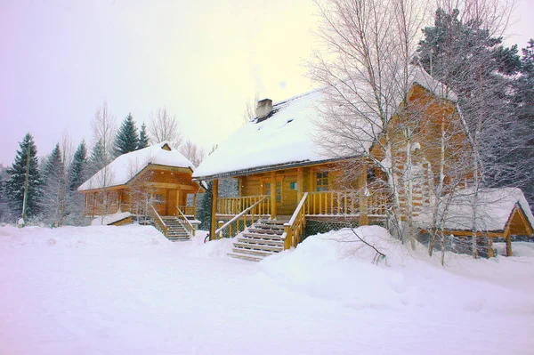 Deux maisons en rondins sur le fond de la forêt d'hiver . — Photo