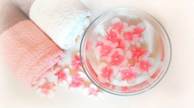 Spa natürmort pastel renklerde. Üstten Görünüm.