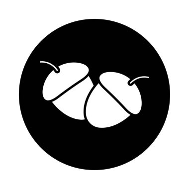 İki meşe palamutları Güz