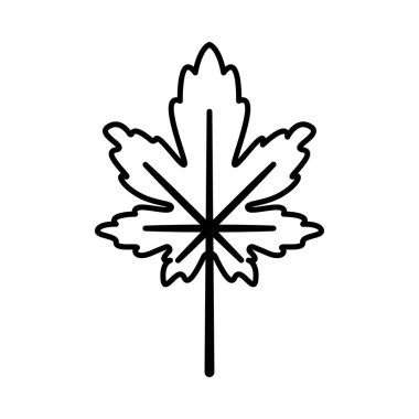 vektör - akçaağaç yaprağı