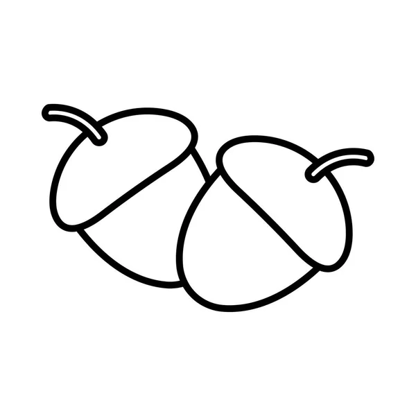 Icon of two acorns — Stock Vector