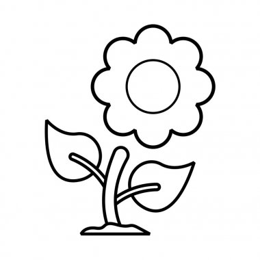 Güzel ayçiçeği simge