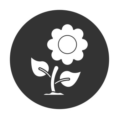 Güzel ayçiçeği simge