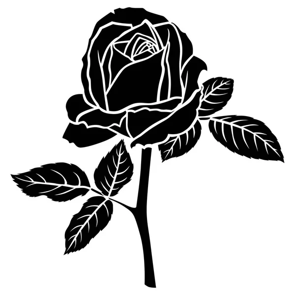 Rose flower silhouette | Rose flower silhouette — Stock Vector © agrino ...