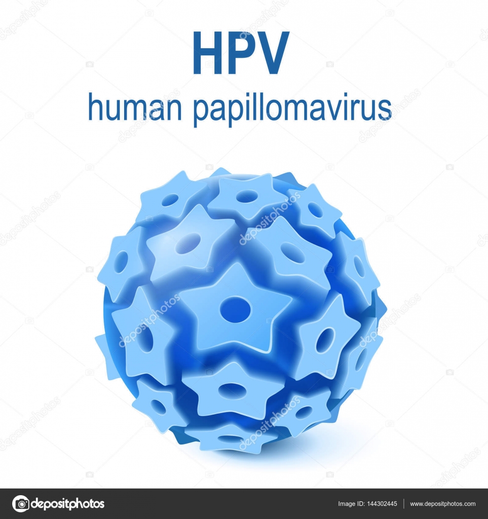 Papillomavirus nederlands