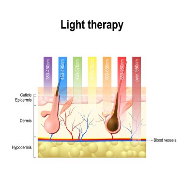 light therapy, Phototherapy or laser therapy. clipart