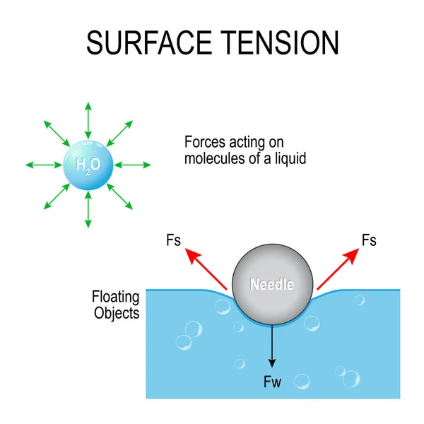 Surface tension. Vector diagram — Stock Vector