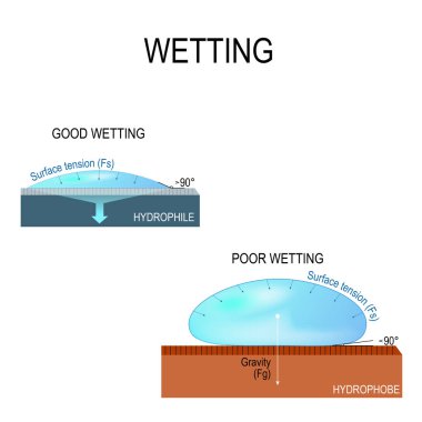 hydrophilic and hydrophobic surface clipart